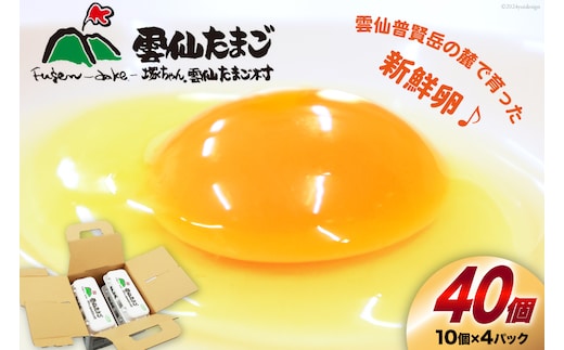 BI024 雲仙たまごLサイズ 40個 (10個入り×4パック) (37個＋割れ補償3個入り) [ 卵 たまご 生卵 鶏卵 赤卵 玉子 新鮮 塚ちゃん雲仙たまご村 長崎県 島原市 ]