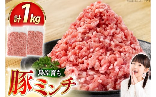 AK026 豚ミンチ 500g 2パック 計1kg [ 豚肉 肉 ミンチ ミンチ肉 小分け ぶた肉 ぶた 豚 スターゼン 長崎県 島原市 ]