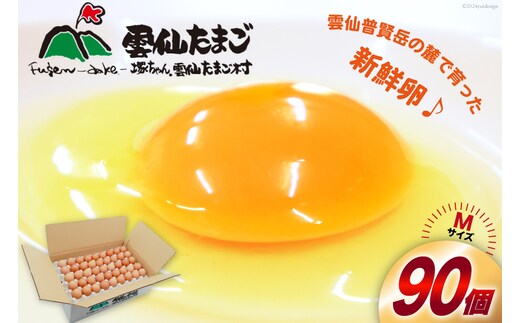 BI027 たっぷり！ 雲仙たまごMサイズ 90個(85個＋割れ補償5個入り) [ 卵 たまご 生卵 鶏卵 赤卵 玉子 新鮮 塚ちゃん雲仙たまご村 長崎県 島原市 ]