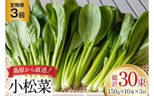 AI329 定期便 3回 小松菜 10束 [ 野菜 こまつな やさい 冷蔵 葉物野菜 田中農園 長崎県 島原市 ]