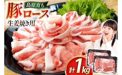 AK030 豚ロース 生姜焼き用 500g 2パック 計1kg [ 豚肉 ぶた肉 ロース 小分け 肉 お肉 生姜焼き しょうが焼き BBQ バーベキュー 焼肉 アウトドア 1キロ スターゼン 長崎県 島原市 ]