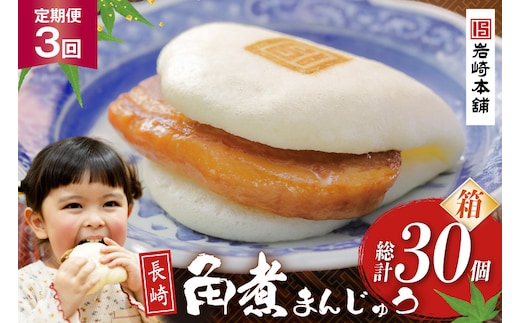 BJ030 岩崎本舗 【3回定期便】長崎角煮まんじゅう 10個入 (箱) [長崎県 島原市]