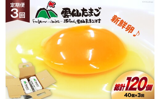 BI031 3回 定期便 雲仙たまごLサイズ 40個 (10個入り×4パック) (37個＋割れ補償3個入り) [ 卵 たまご 生卵 鶏卵 赤卵 玉子 新鮮 塚ちゃん雲仙たまご村 長崎県 島原市 ]