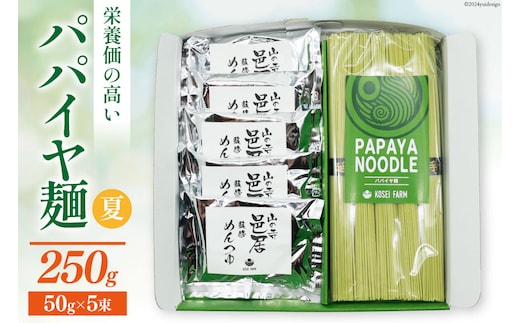 AI131 パパイヤ麺 5食 セット めんつゆ付 [ 麺 乾麺 手延べ麺 素麺 手延べそうめん 冷麺 にゅうめん にゅう麺 無農薬 青パパイヤ ヌードル コウセイプランニング 長崎県 島原市 ]