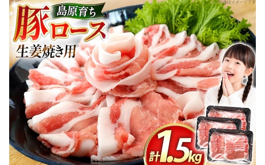 AK031 豚ロース 生姜焼き用 500g 3パック 計1.5kg [ 豚肉 ロース 小分け 肉 お肉 BBQ バーベキュー 焼肉 アウトドア スターゼン 長崎県 島原市 ]