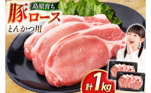 AK032 豚ロース とんかつ用 500g 2パック 計1kg [ 豚肉 ぶた肉 ロース 小分け 肉 お肉 とんかつ 1キロ BBQ バーベキュー 焼肉 アウトドア 1キロ スターゼン 長崎県 島原市 ]
