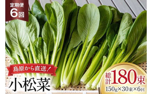 AI333 定期便 6回 小松菜 30束 [ 野菜 こまつな やさい 冷蔵 葉物野菜 田中農園 長崎県 島原市 ]