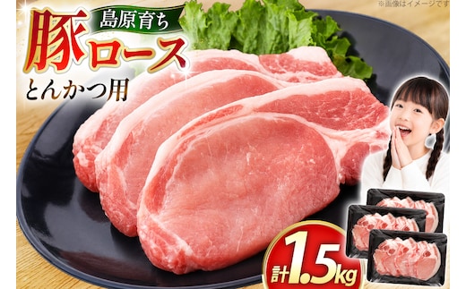 AK033 豚ロース とんかつ用 500g 3パック 計1.5kg [ 豚肉 ロース 小分け 肉 お肉 BBQ バーベキュー 焼肉 アウトドア スターゼン 長崎県 島原市 ]