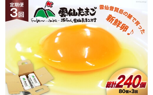 BI034 3回 定期便 雲仙たまごLサイズ 80個 (10個入り×8パック)(75個＋割れ補償5個入り) [ 卵 たまご 生卵 鶏卵 赤卵 玉子 新鮮 塚ちゃん雲仙たまご村 長崎県 島原市 ]