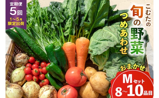 AJ434 【5回定期便】【1～5月限定出荷】こむたの旬の野菜 (8～10品目) おまかせMセット [ 野菜 やさい 旬 定期便 野菜セット 種類 人気 オススメ 新鮮 詰め合わせ 詰合せ こむた 小無田 青果 長崎県 島原市 ]