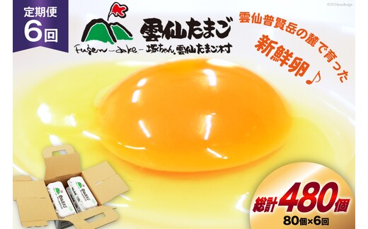 BI035 6回 定期便 雲仙たまごLサイズ 80個 (10個入り×8パック)(75個＋割れ補償5個入り) [ 卵 たまご 生卵 鶏卵 赤卵 玉子 新鮮 塚ちゃん雲仙たまご村 長崎県 島原市 ]