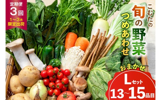 AJ435 【3回定期便】【1～3月限定出荷】こむたの旬の野菜 (13～15品目) おまかせLセット [ 野菜 やさい 旬 定期便 野菜セット 種類 人気 オススメ 新鮮 詰め合わせ 詰合せ こむた 小無田 青果 長崎県 島原市 ]