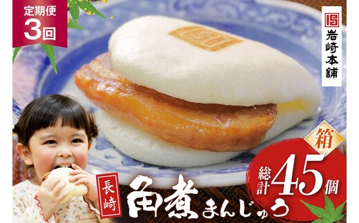 BJ035 岩崎本舗 【3回定期便】長崎角煮まんじゅう 15個入 (箱) [長崎県 島原市]