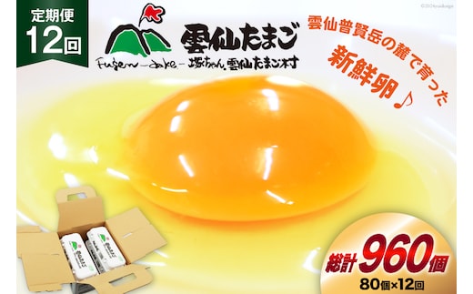BI036 12回 定期便 雲仙たまごLサイズ 80個 (10個入り×8パック)(75個＋割れ補償5個入り) [ 卵 たまご 生卵 鶏卵 赤卵 玉子 新鮮 塚ちゃん雲仙たまご村 長崎県 島原市 ]