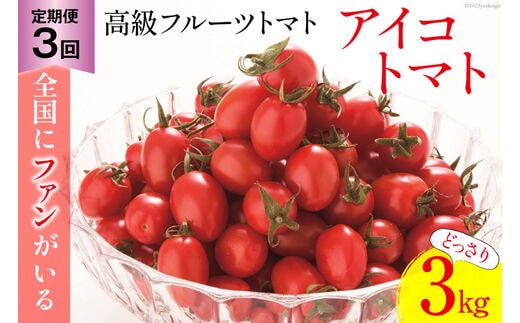 BG138【3回定期便】全国にファンがいる高級フルーツトマト アイコ どっさり！3kg