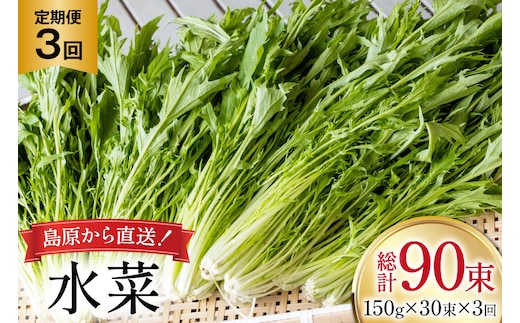 AI338 定期便 3回 水菜 30束 [ 野菜 みずな サラダ やさい 冷蔵 葉物野菜 田中農園 長崎県 島原市 ]
