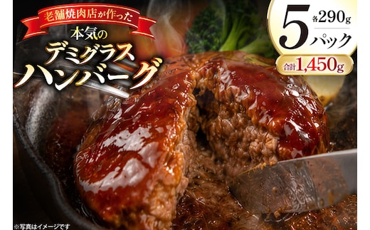 AJ638 デミグラスハンバーグ290g 5パック [ 牛肉 豚肉 国産 合挽 ギフト 御中元 御歳暮 湯煎 竹林 つばきグリル 株式会社プラス1 長崎県 島原市 ]