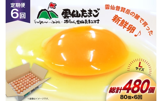 BI038 6回 定期便 たっぷり！ 雲仙たまごLサイズ 80個 (75個＋割れ補償5個入り) [ 卵 たまご 生卵 鶏卵 赤卵 玉子 新鮮 塚ちゃん雲仙たまご村 長崎県 島原市 ]