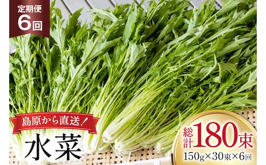 AI339 定期便 6回 水菜 30束 [ 野菜 みずな サラダ やさい 冷蔵 葉物野菜 田中農園 長崎県 島原市 ]