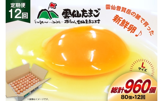 BI039 12回 定期便 たっぷり！ 雲仙たまごLサイズ 80個 (75個＋割れ補償5個入り) [ 卵 たまご 生卵 鶏卵 赤卵 玉子 新鮮 塚ちゃん雲仙たまご村 長崎県 島原市 ]