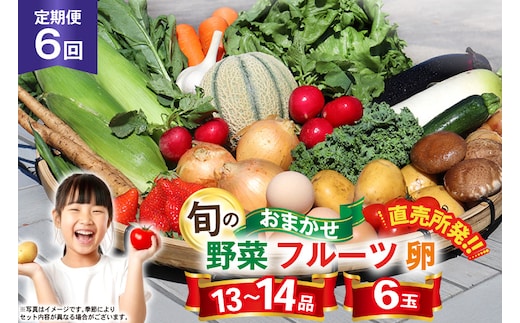 CH113 【6回定期便】 野菜・フルーツ・卵 旬のおまかせセット （野菜･フルーツ13～14種、卵6玉） [ 野菜セット 野菜 フルーツ 果物 たまご 鶏卵 産地直送 厳選 長崎県 島原市 送料無料]