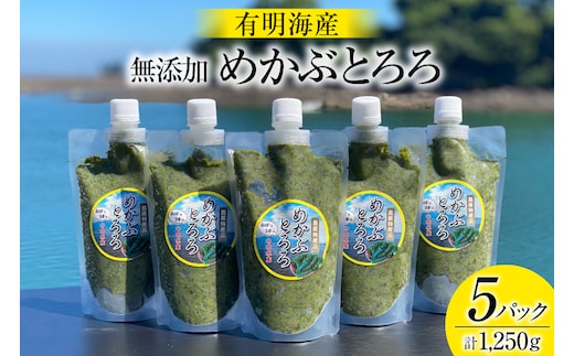 AE140 有明海産 無添加めかぶとろろ（250g×5パック）