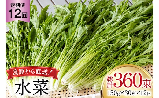 AI340 定期便 12回 水菜 30束 [ 野菜 みずな サラダ やさい 冷蔵 葉物野菜 田中農園 長崎県 島原市 ]