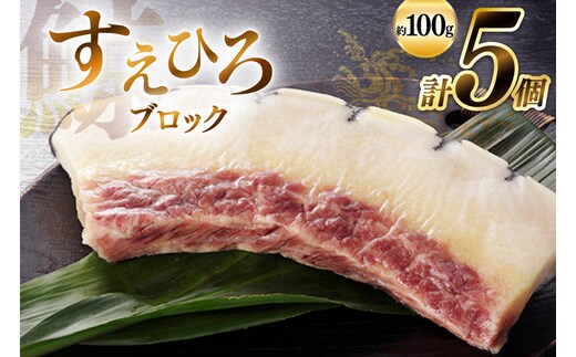 BJ144 すえひろ ブロック 100g×5個セット 計500g [ くじら クジラ 鯨肉 湯引き 簡単調理 おつまみ 肴 珍味 小分け 日野商店 長崎県 島原市 ]