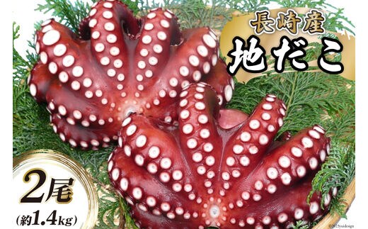 CB044 長崎産 地だこ2尾(約1.4kg)