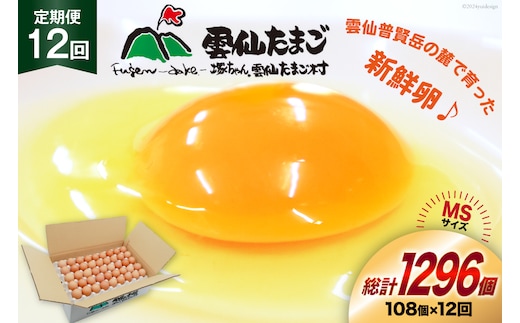 BI045 12回 定期便 たっぷり！ 雲仙たまごMSサイズ 108個(100個＋割れ補償8個入り) [ 卵 たまご 生卵 鶏卵 赤卵 玉子 新鮮 塚ちゃん雲仙たまご村 長崎県 島原市 ]