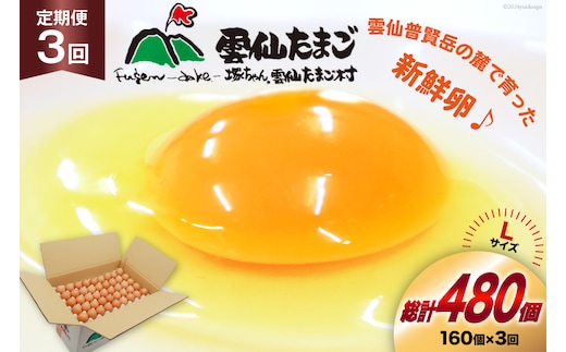 BI046 3回 定期便 どっさり！ 雲仙たまごLサイズ 160個(150個＋割れ補償10個入り) [ 卵 たまご 生卵 鶏卵 赤卵 玉子 新鮮 塚ちゃん雲仙たまご村 長崎県 島原市 ]