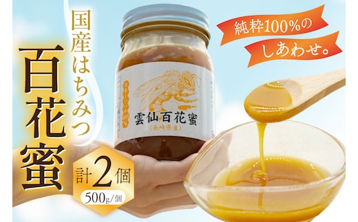 AJ446 はちみつ 国産 百花蜜 500g 2個 日本ミツバチ 純粋 100% [ 安中梅林を育てる会 蜂蜜 ハチミツ 非加熱 無添加 長崎県 島原市 ]