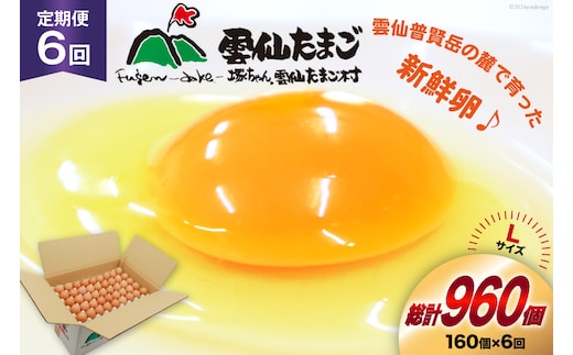 BI047 6回 定期便 どっさり！ 雲仙たまごLサイズ 160個(150個＋割れ補償10個入り) [ 卵 たまご 生卵 鶏卵 赤卵 玉子 新鮮 塚ちゃん雲仙たまご村 長崎県 島原市 ]