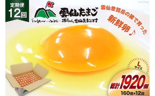 BI048 12回 定期便 どっさり！ 雲仙たまごLサイズ 160個(150個＋割れ補償10個入り) [ 卵 たまご 生卵 鶏卵 赤卵 玉子 新鮮 塚ちゃん雲仙たまご村 長崎県 島原市 ]