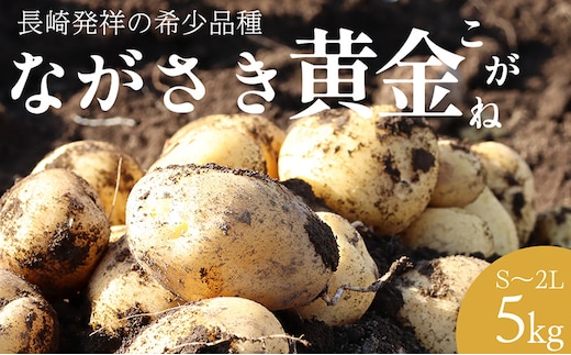 BH048 じゃがいも 希少品種 ながさき黄金 S～2Lサイズ混合 約5kg [ 野菜 芋 ジャガイモ 5キロ ほくほく 先行予約 常備野菜 サイズ混同 国産 贅沢宝庫 長崎県 島原市 ]