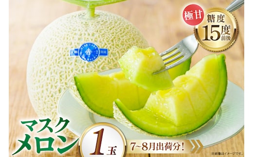 AJ650 【令和8年7-8月出荷分】 堀農園 マスクメロン 1玉 [ メロン めろん 青肉メロン 黄緑 果物 フルーツ おいしい 甘い 堀農園 長崎県 島原市 ]