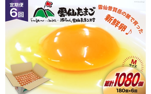 BI050 6回 定期便 どっさり！ 雲仙たまごMサイズ 180個(170個＋割れ補償10個入り) [ 卵 たまご 生卵 鶏卵 赤卵 玉子 新鮮 塚ちゃん雲仙たまご村 長崎県 島原市 ]