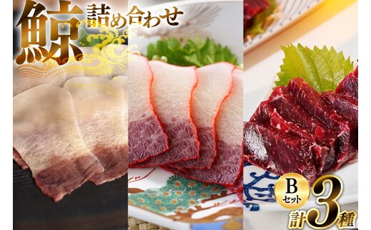 BJ150 美味しい 鯨 3種詰め合わせBセット 計310g( 背肉 ベーコンスライス すえひろスライス ) [ くじら クジラ 鯨肉 湯引き 簡単調理 おつまみ 肴 珍味 日野商店 長崎県 島原市 ]