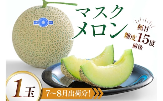 AJ650 【令和8年7-8月出荷分】 堀農園 マスクメロン 1玉 [ メロン めろん 青肉メロン 黄緑 果物 フルーツ おいしい 甘い 堀農園 長崎県 島原市 ]