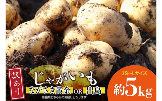 BH050 じゃがいも 訳あり ながさき黄金 出島 約5kg [ 野菜 訳アリ 芋 ジャガイモ 5キロ ほくほく 先行予約 常備野菜 国産 贅沢宝庫 長崎県 島原市 ]