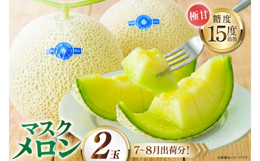 AJ651 【令和8年7-8月出荷分】 堀農園 マスクメロン 2玉 [ メロン めろん 青肉メロン 黄緑 果物 フルーツ おいしい 甘い 堀農園 長崎県 島原市 ]