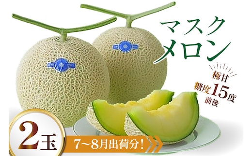 AJ651 【令和8年7-8月出荷分】 堀農園 マスクメロン 2玉 [ メロン めろん 青肉メロン 黄緑 果物 フルーツ おいしい 甘い 堀農園 長崎県 島原市 ]
