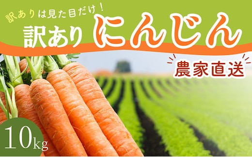 BH052 人参 訳あり 堀農園のこだわり人参 約10kg [ 野菜 訳アリ にんじん ニンジン キャロット 10キロ 先行予約 常備野菜 国産 贅沢宝庫 長崎県 島原市 ]