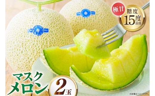 【期間限定発送】AA048 その道一筋の生産者がじっくり丁寧に育てた マスクメロン 2玉入