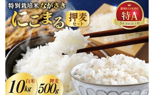 CA053 特別栽培米ながさきにこまる・押麦セット[ 白米 精米 ごはん ご飯 こめ おこめ もちもち おにぎり 粘り おいしい 長崎県産 長崎県産米 長崎にこまる 長崎県 島原市 ]