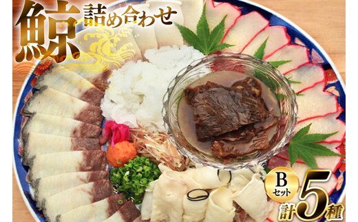 BJ155 美味しい 鯨 5種詰め合わせBセット 計520g( 大和煮 オバ ベーコンスライス 湯かけくじら さえずりスライス )[ くじら クジラ 鯨肉 湯引き 簡単調理 おつまみ 肴 珍味 日野商店 長崎県 島原市 ]