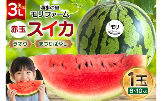 AJ455 【令和8年度出荷分】 湧水の里 モリファーム 赤玉 スイカ ラオウ まつりばやし 3L 8～10kg 1玉 [ 先行予約 数量限定 すいか スイカ 西瓜 フルーツ 果物 長崎 長崎県 島原市 ]