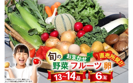 CA025 野菜・フルーツ・卵 旬のおまかせセット （野菜･フルーツ13～14品目、卵6玉）[ 野菜セット 野菜 フルーツ 果物 たまご 鶏卵 産地直送 厳選 長崎県 島原市 送料無料]