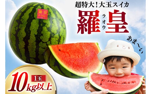 BG060【令和9年度出荷分】超特大！大玉スイカ～羅皇（ラオウ）～（10kg以上）[先行予約 数量限定 すいか スイカ 西瓜 フルーツ 果物 大玉 長崎 長崎県 島原市]