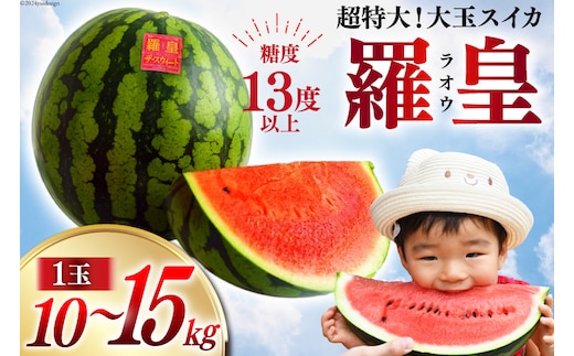 AG060【令和8年度出荷分】超特大！大玉スイカ～羅皇（ラオウ）～（10～15kg）[先行予約 数量限定 すいか スイカ 西瓜 フルーツ 果物 長崎 長崎県 島原市]